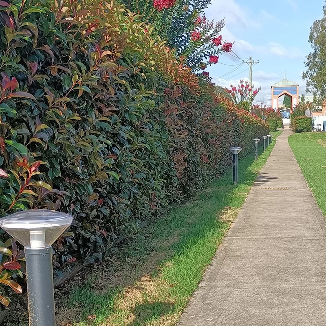 VANDAL, Chemin Scolaire